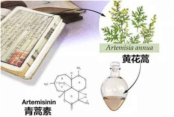 必赢手机官网（上海）有限公司,：向中医药看齐，与世界共享中医药文化(图1)